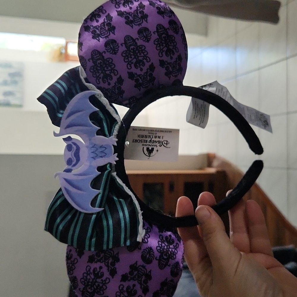 disney park  from shangi hi .haunted mansion mouse ears